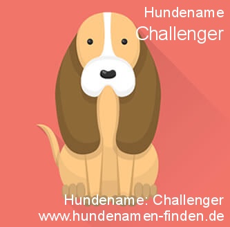 Hundename Challenger Hunde Name