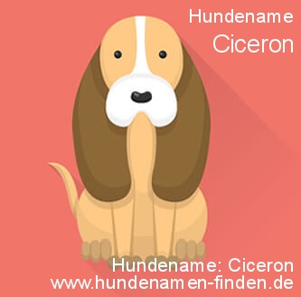 Hundename Ciceron - Hundenamen finden