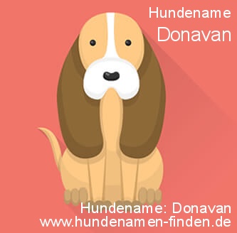 Hundename Donavan Hunde Name
